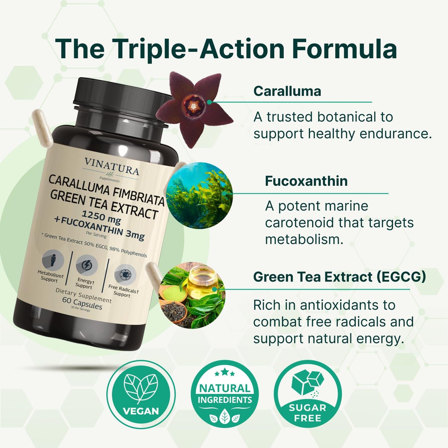 VINATURA Caralluma Fimbriata, EGCG 45% Extract 1250mg + Fucoxanthin 3mg per Serving Capsules, 60 Count
