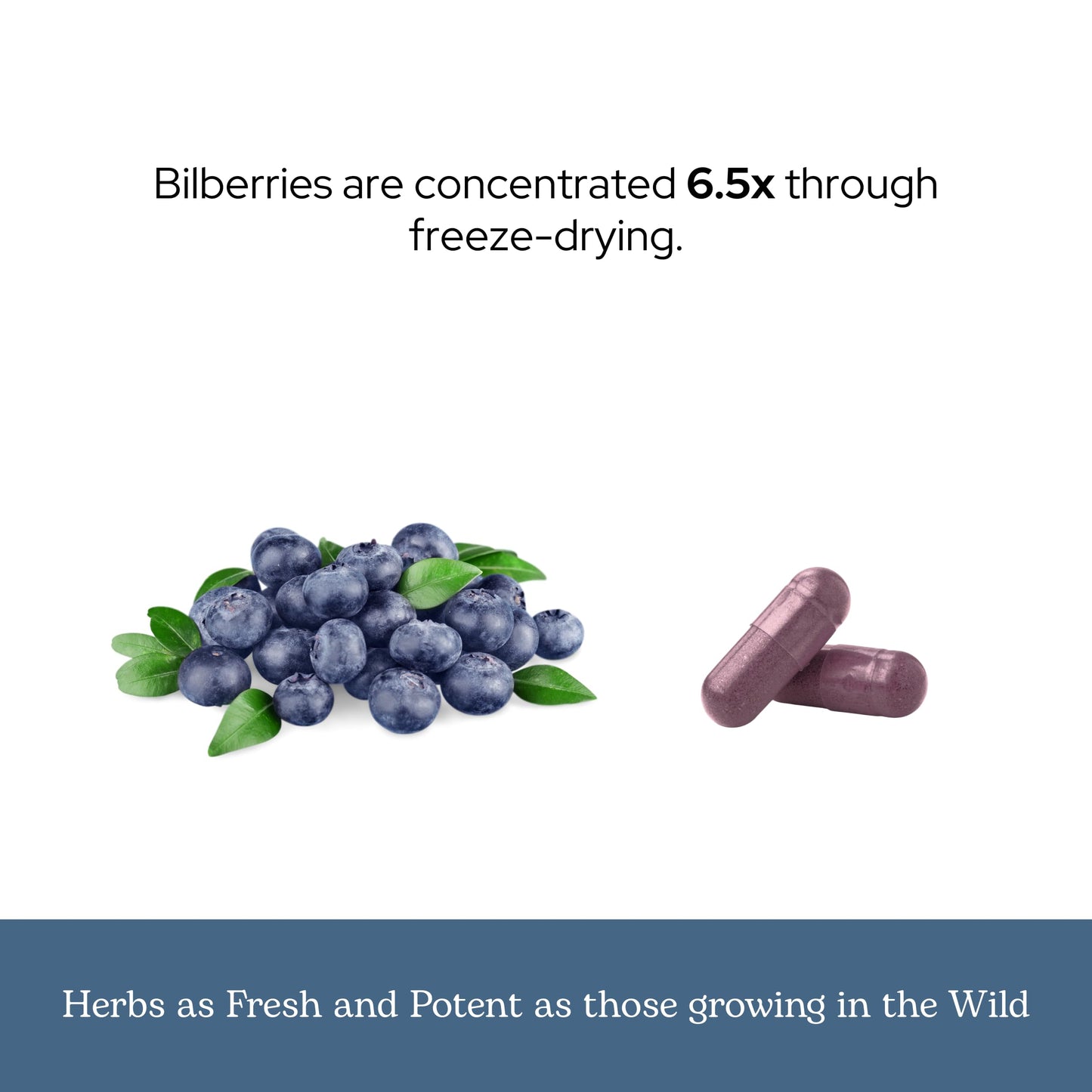 Eclectic Institute Bilberry Capsules 120 Count