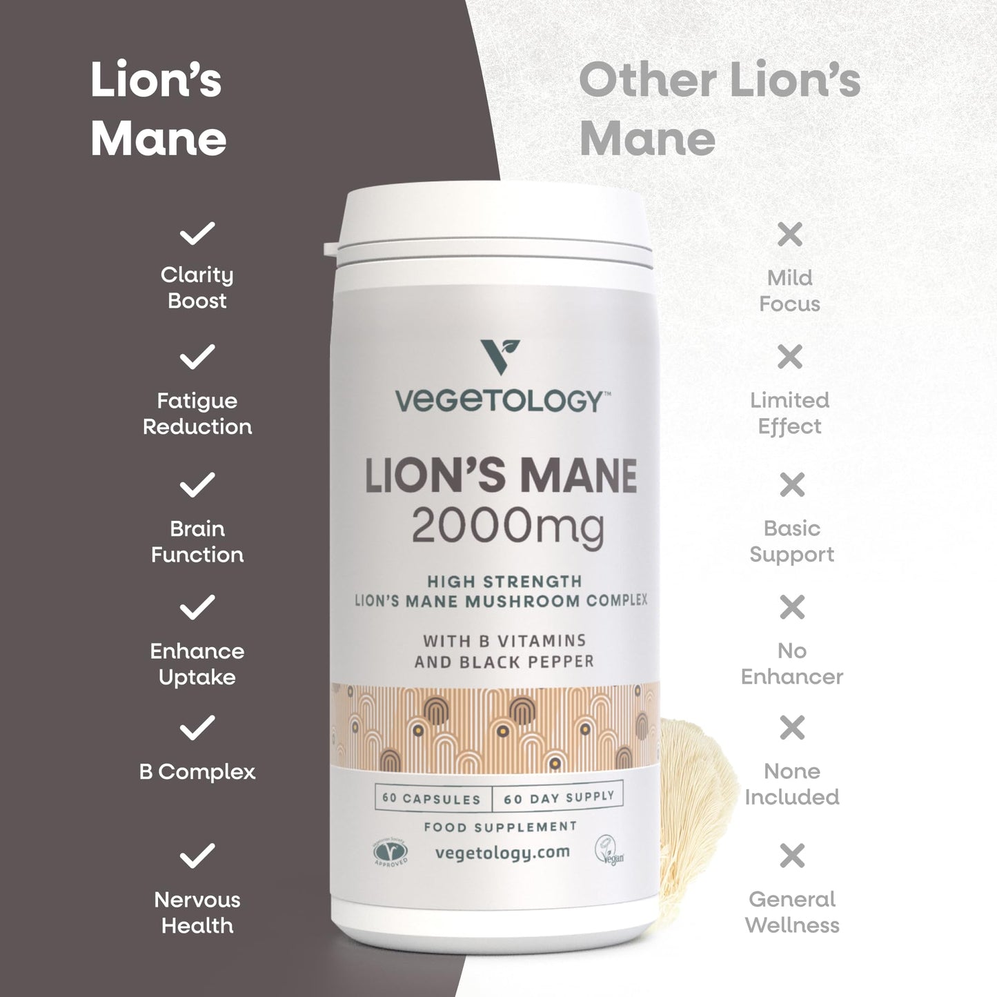VEGETOLOGY Lions Mane Supplement Capsule 60 Count
