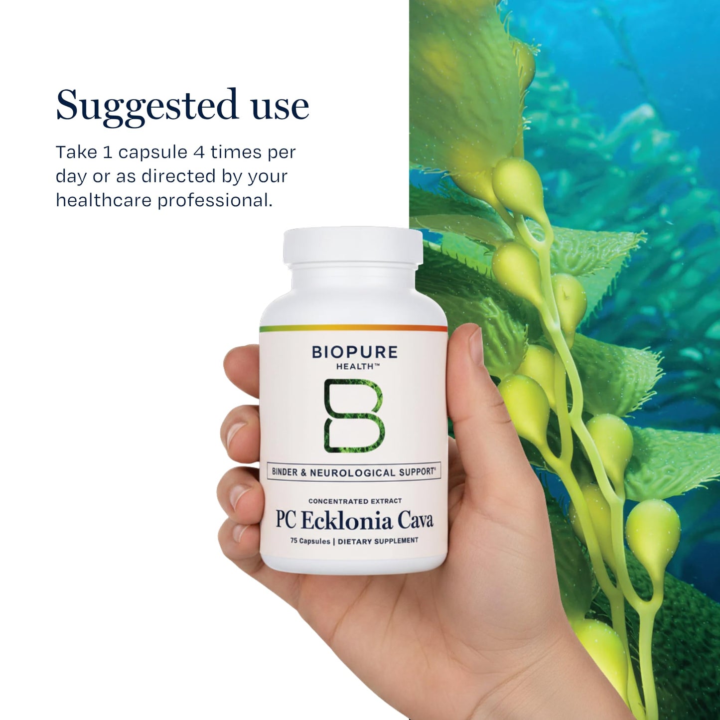 BioPure PC Ecklonia Cava Capsules – Marine Polyphenol Complex from Brown Seaweed, Rich in Phlorotannins, Trace Minerals & Nutrients for Cellular Health, Circulation & Immune Support, 75 Capsules