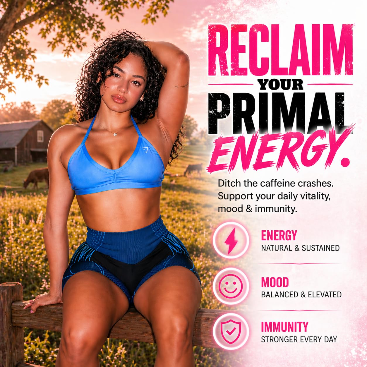 PRIMAL FURY Grass-Fed Beef Organ Supplement for Women, 60 Capsules