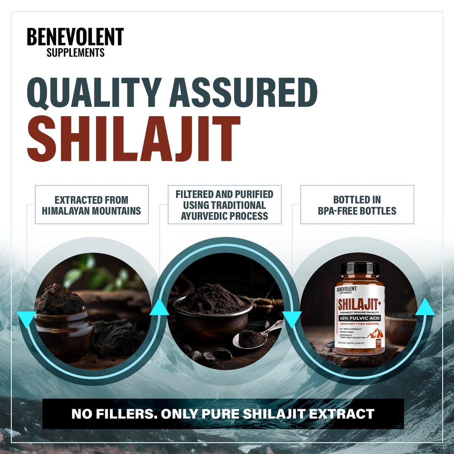 Benevolent Nourishment Shilajit 6500mg Capsules, 120 Count