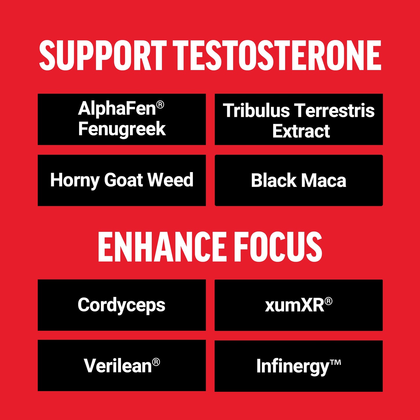Force Factor Test X180 Surge Testosterone Booster for Men Capsule 60 Count