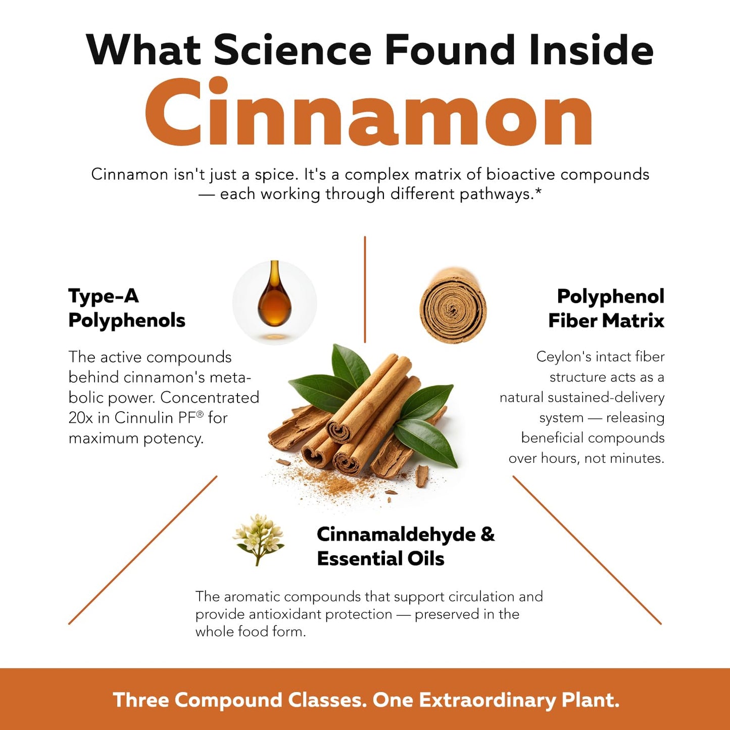 Triquetra Health SoActive Cinnamon Capsules 60 Count