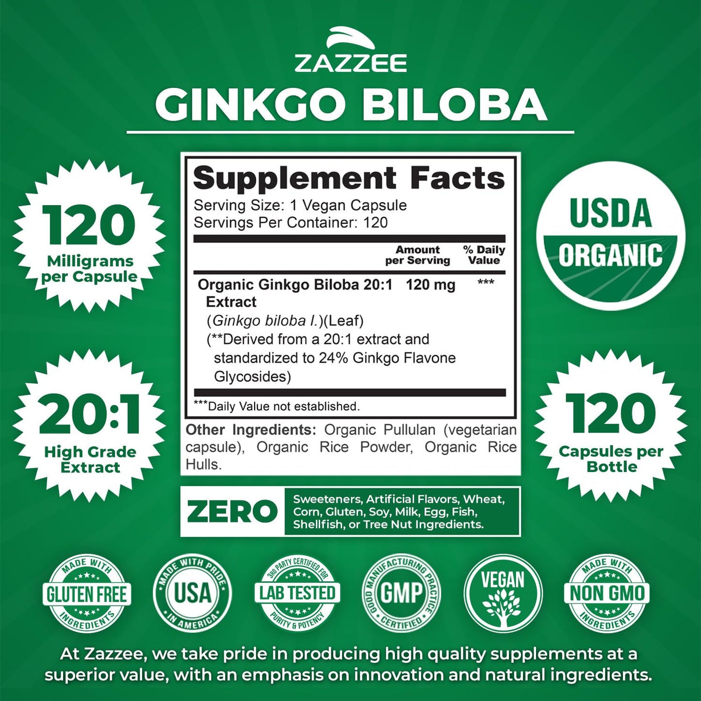 Zazzee Ginkgo Biloba 20:1 Extract Vegan Capsules, 120 Count