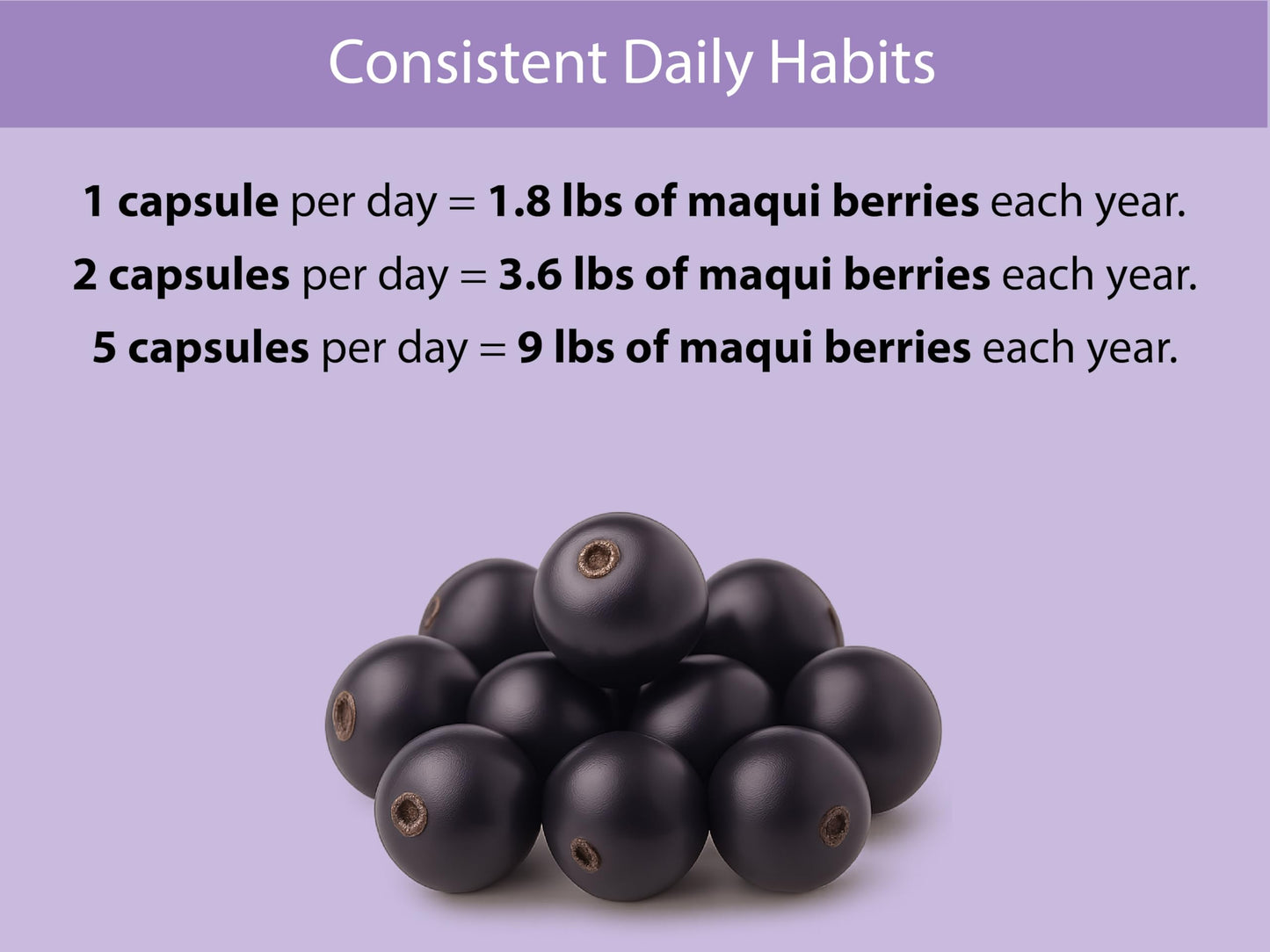 KOYAH Organic Maqui Berry Capsules, 600 mg per Capsule, 60 Capsules