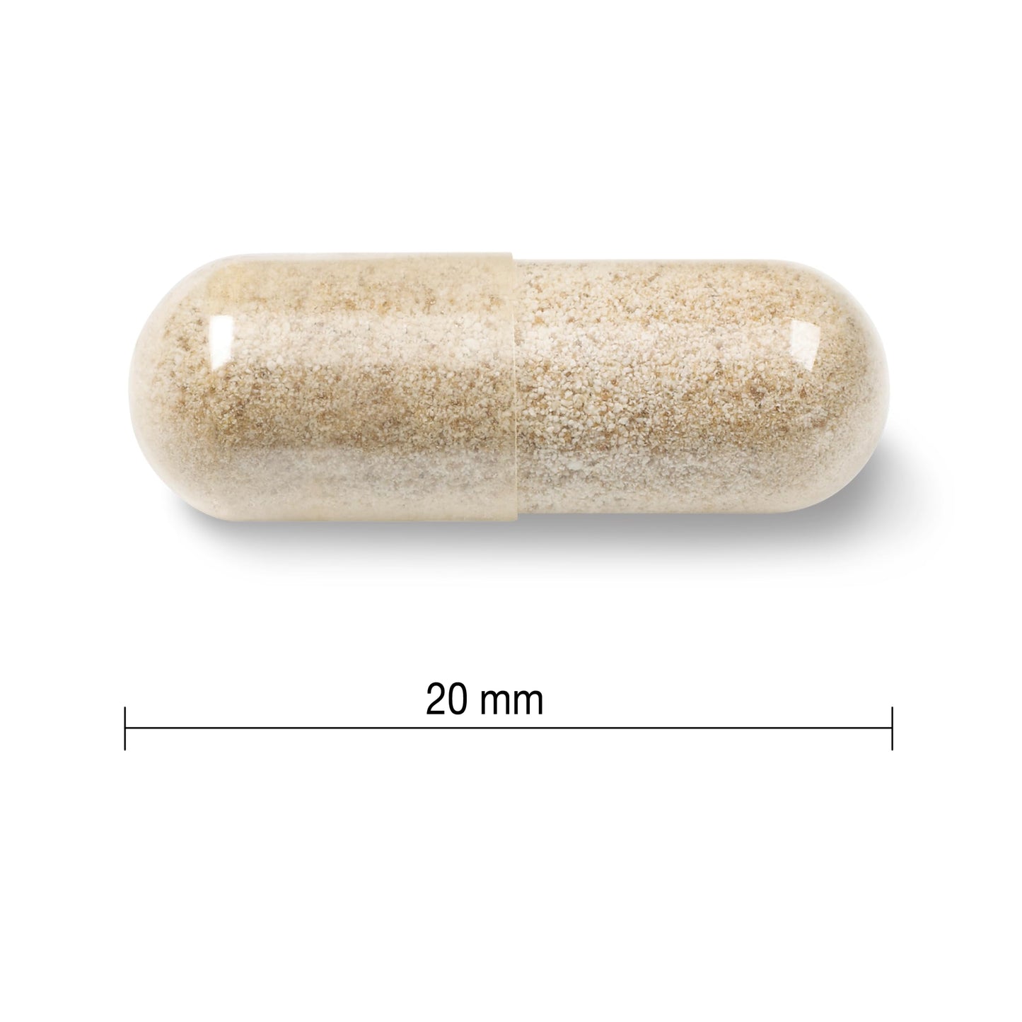 Jamieson High Absorption Gentle Iron Capsule, 1 Count