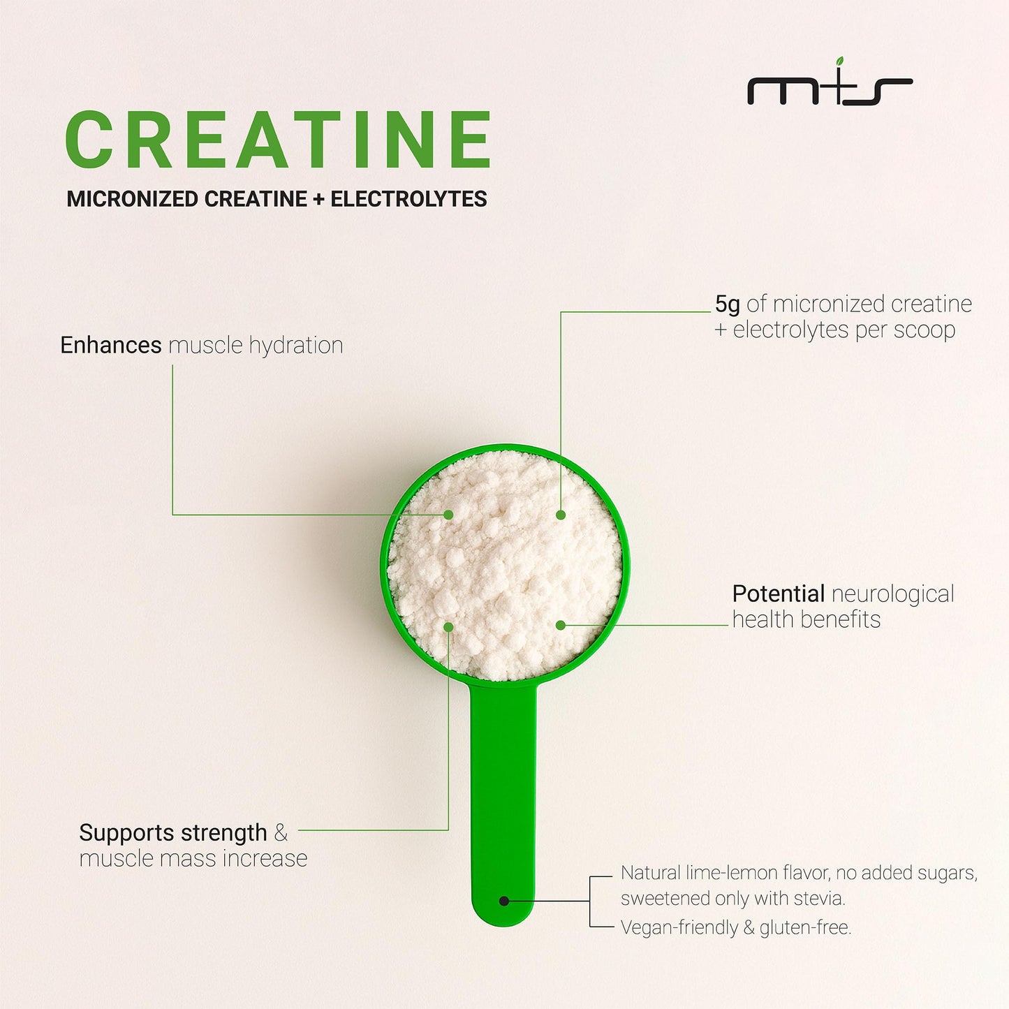 M+S Creatine Electrolytes, Micronized Monohydrate Powder Lemon Lime, 19.04 oz