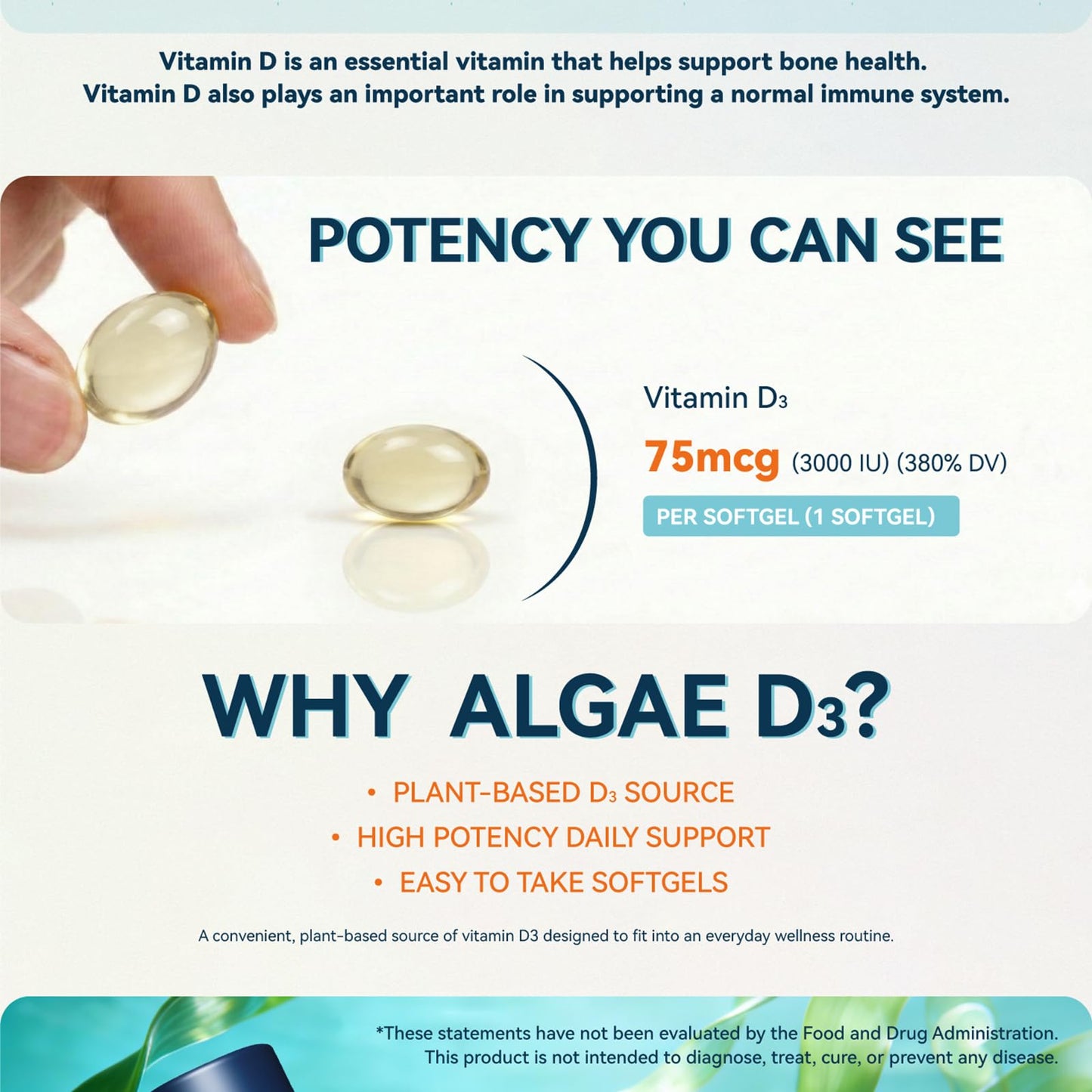 SUPPSEA Vegan Vitamin D3 75 mcg from Algae, Extra Virgin Olive Oil Softgels, 120 Softgels