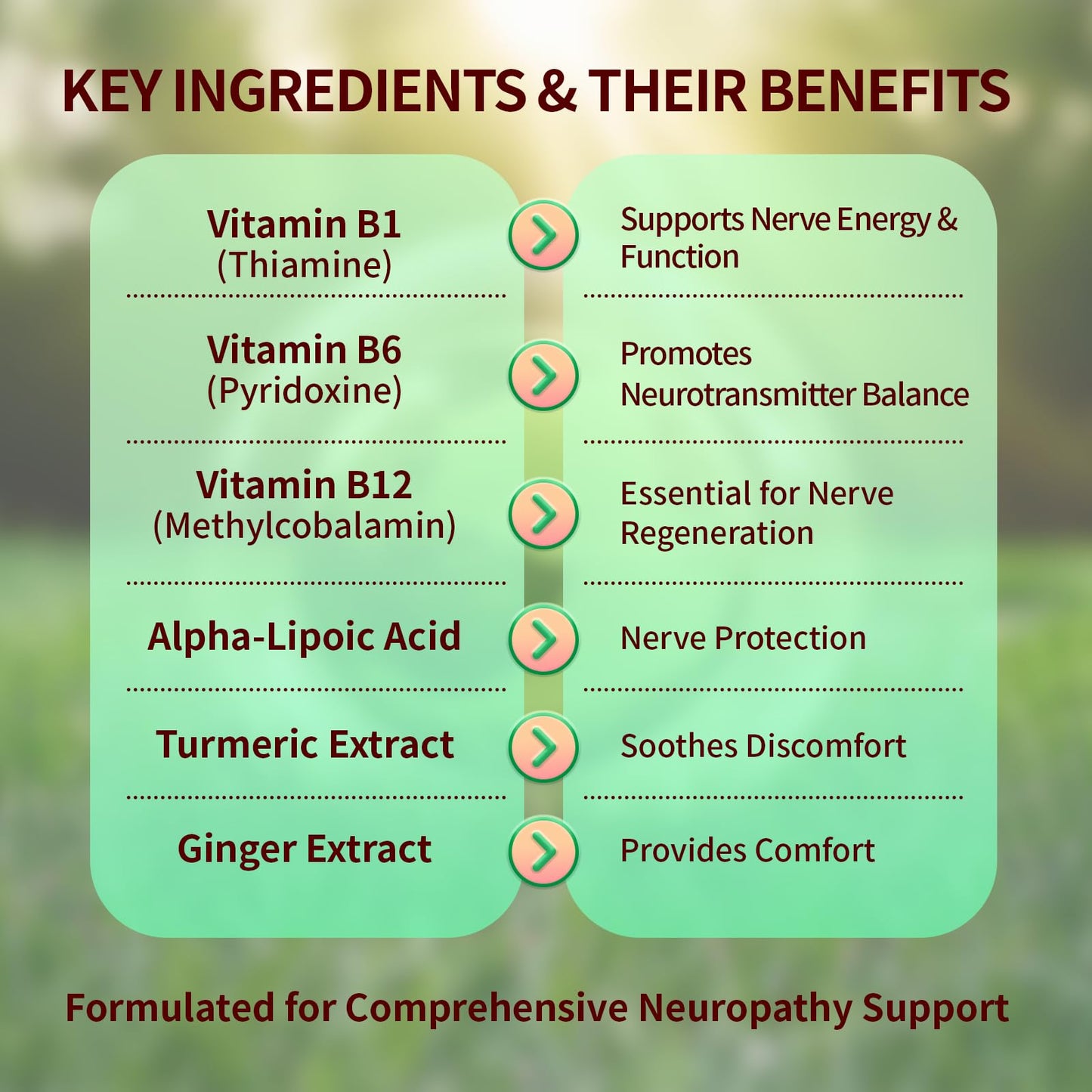 Warmbioder Sugar Free Neuropathy Support Gummies, 60 Count