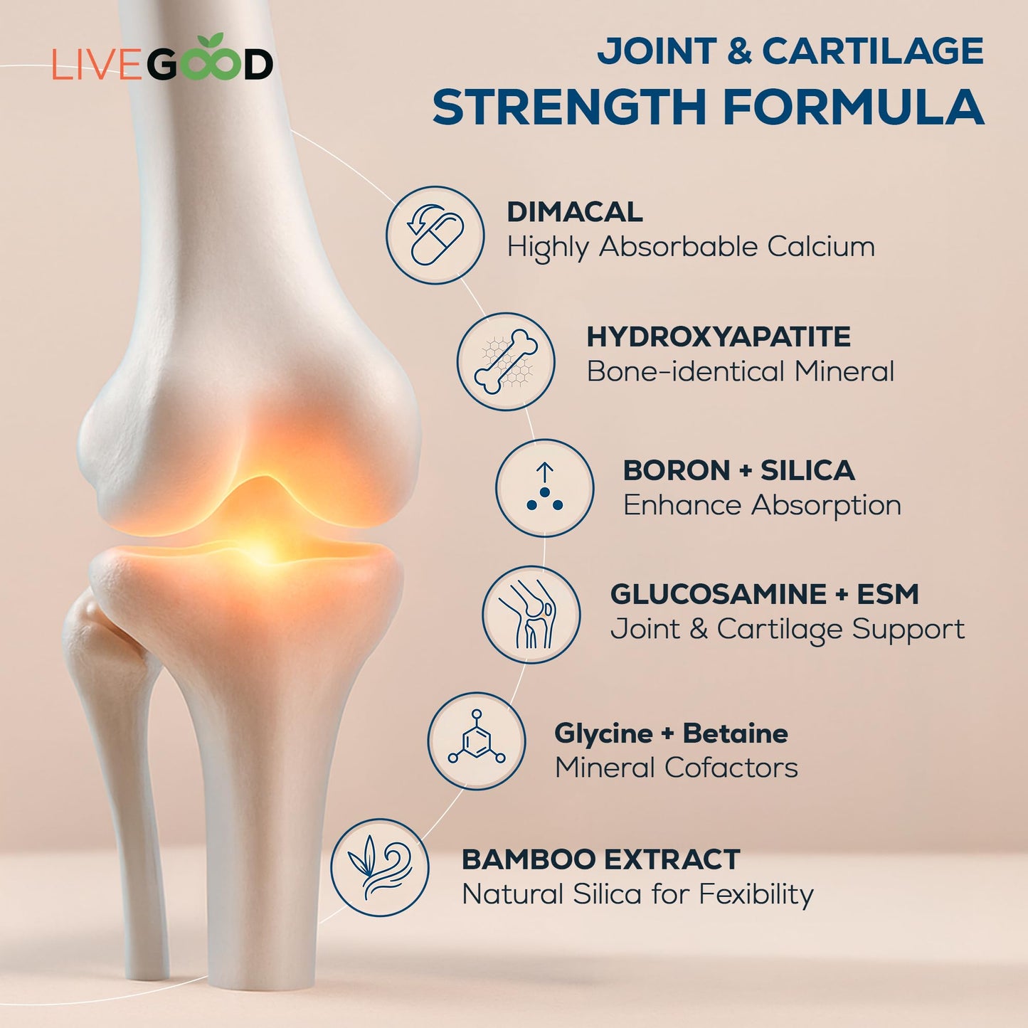 LiveGood Osteo Complete Bone and Joint Support Capsule, 90 Capsules