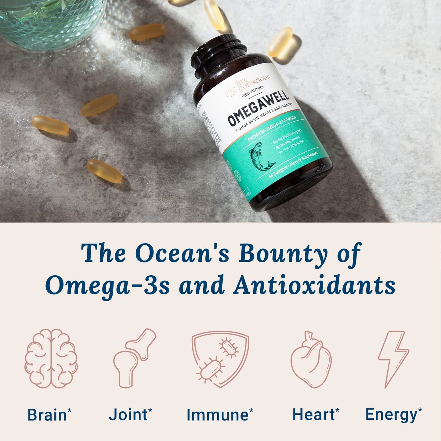 Live Conscious OmegaWell Fish Oil Softgel 120 Count