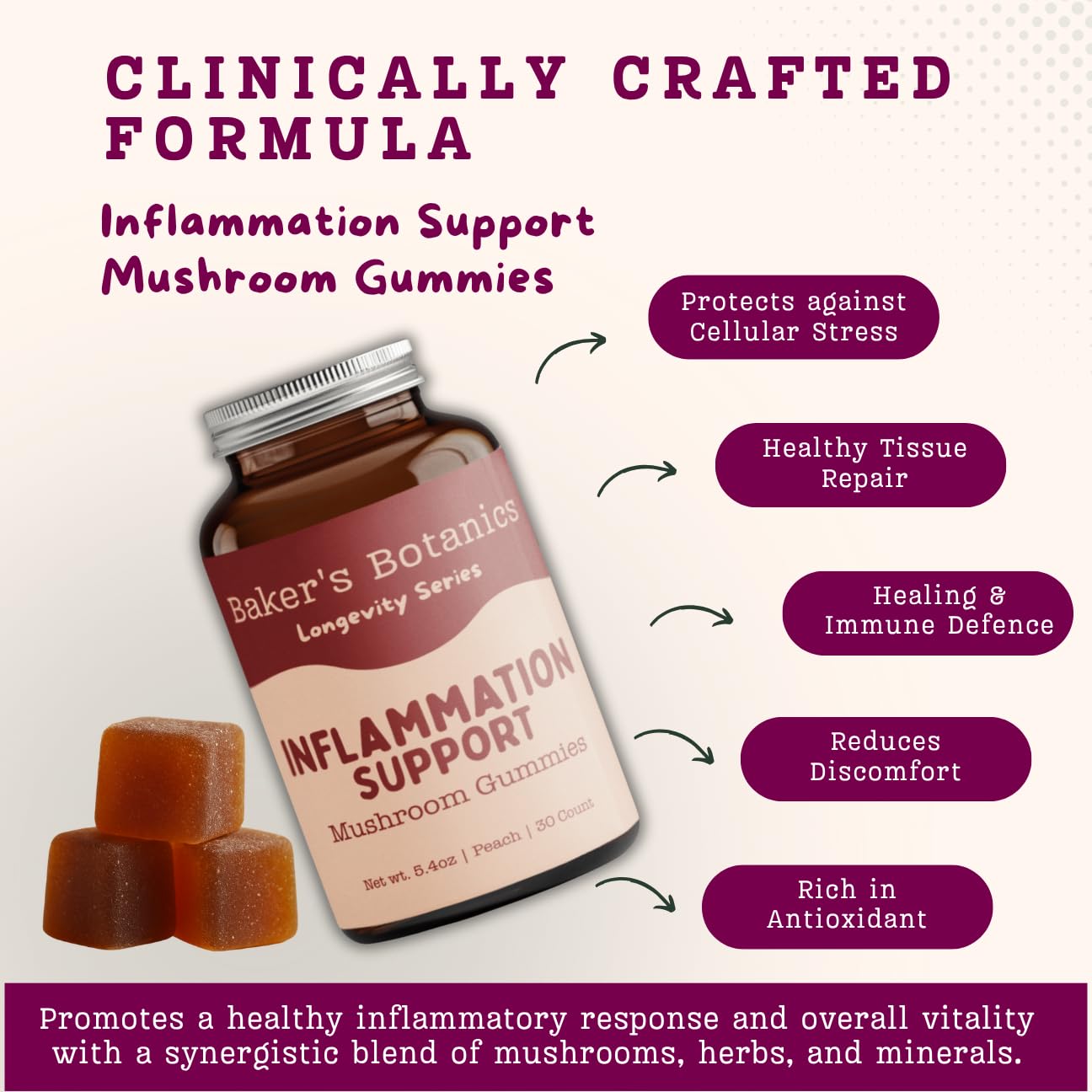 Baker's Botanics Longevity & Anti-Inflammatory Mushroom Gummies – Chaga, Maitake, Turmeric & Astragalus, 30 Count