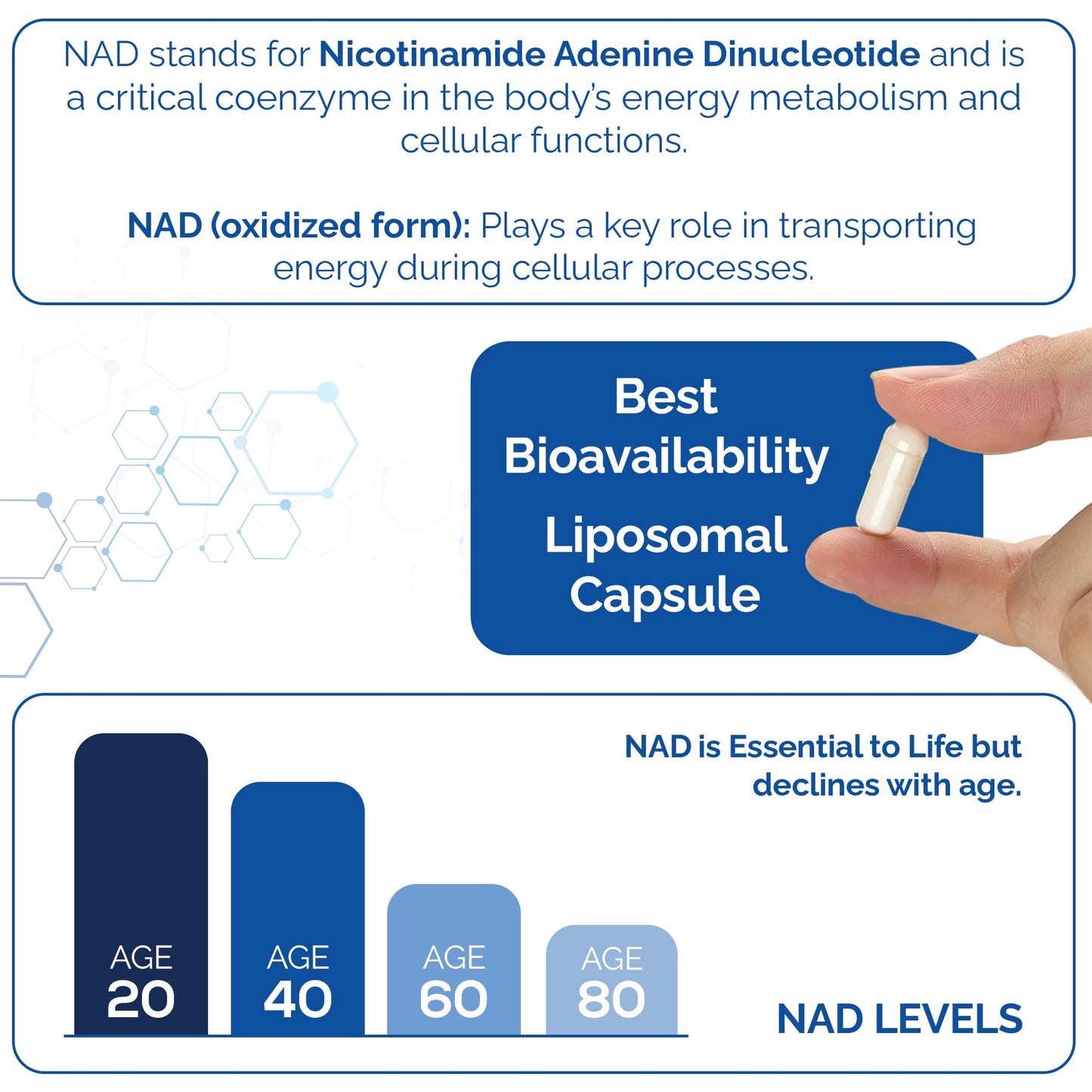 HARMONIFY NAD Supplement Capsules 60 Count