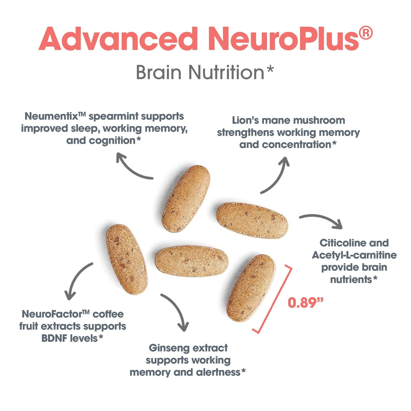 Allergy Research Group Advanced NeuroPlus - Nootropic Formula with Spearmint Extract, Lions Mane & Citicoline - Supports Working Memory Focus & Cognitive Function - 90 Tablets