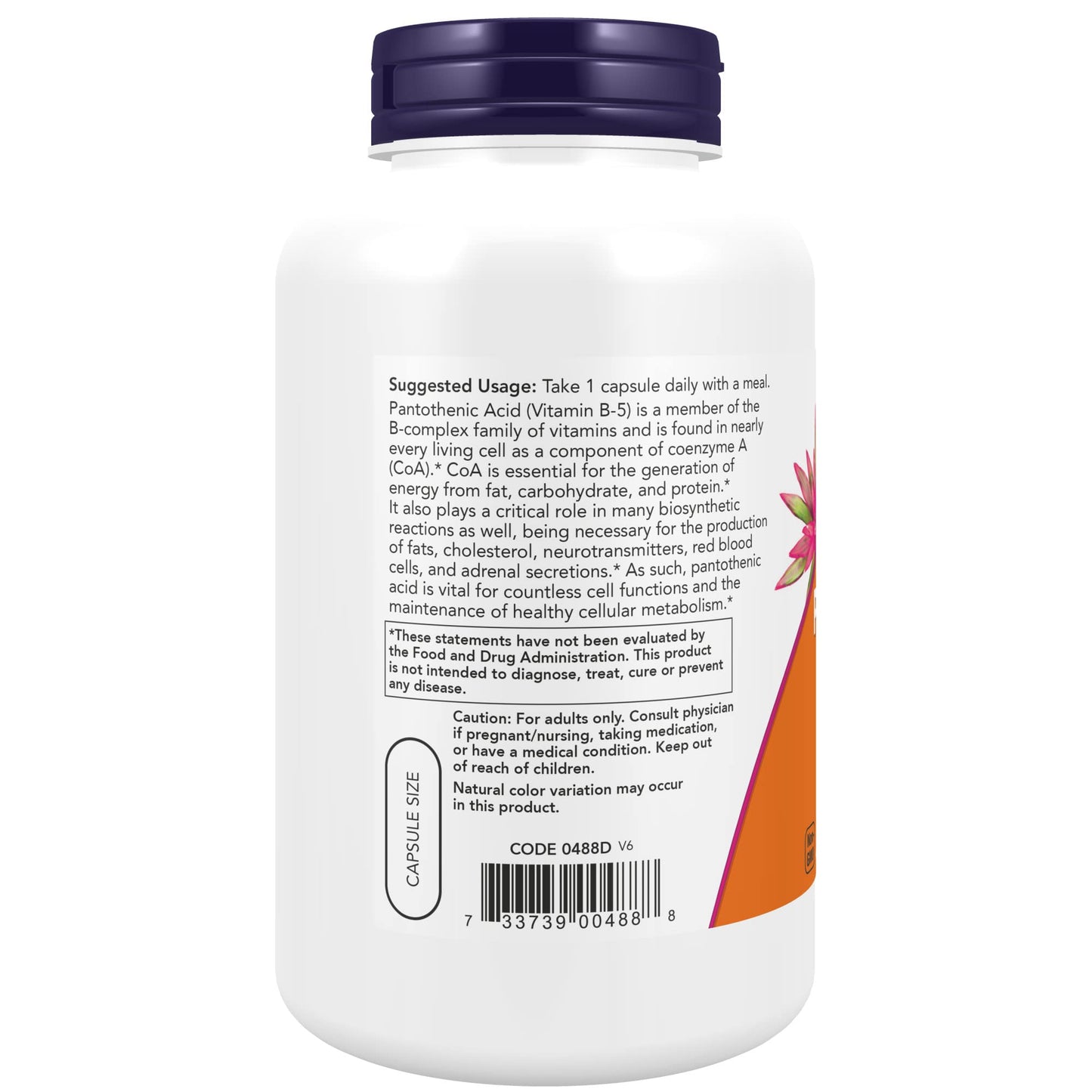 NOW Foods Pantothenic Acid (Vitamin B-5) 500 mg B-Complex Vitamin Capsule, 250 Capsules