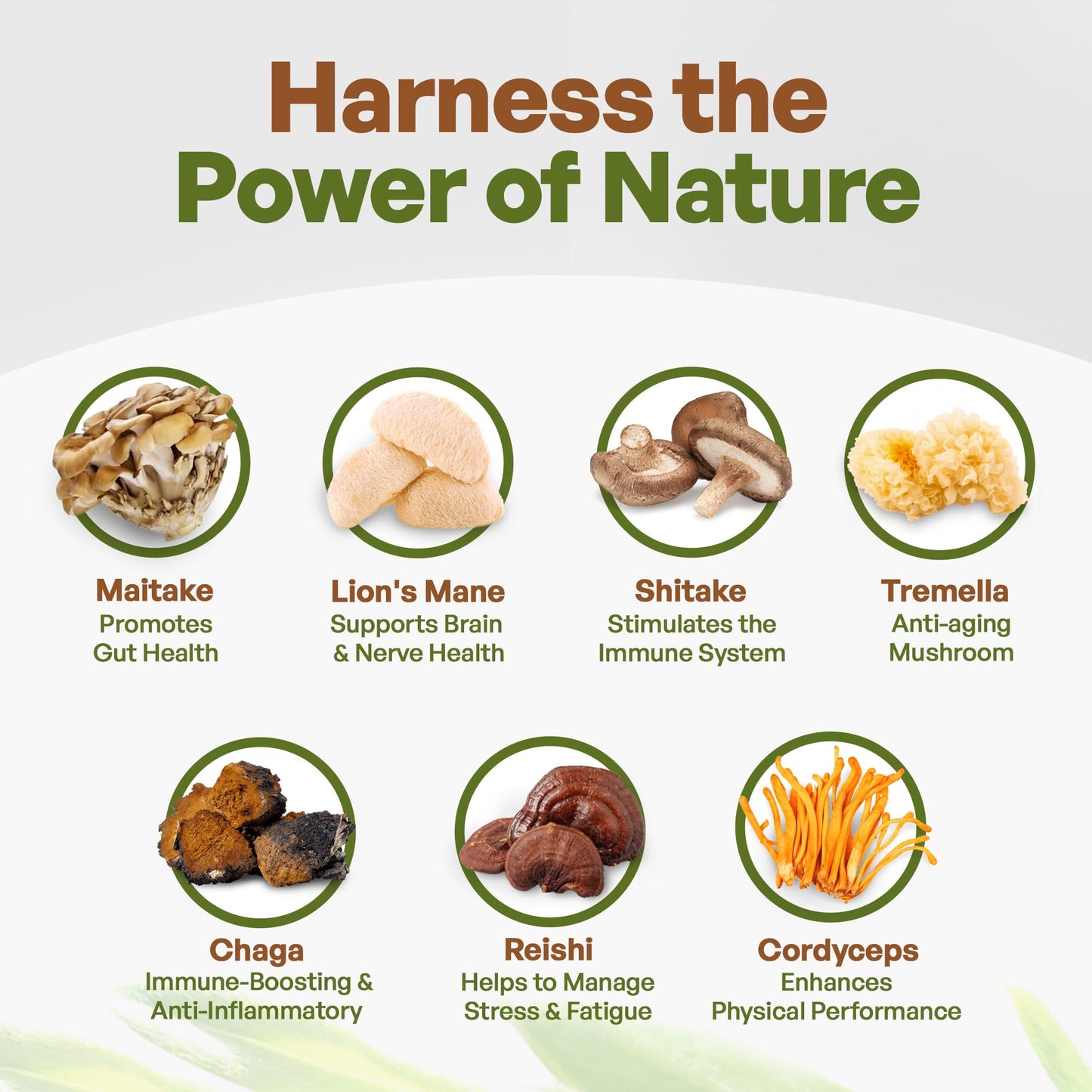 Go Nutra Organic 7 Mushroom Supplement Powder, 8 oz