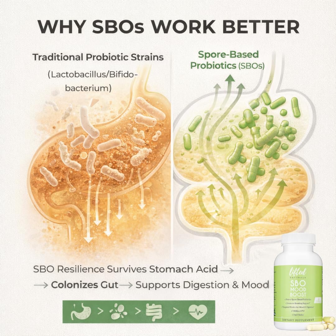 Lifted Naturals SBO Mood Boost Spore-Based Probiotic Capsules 60 Count