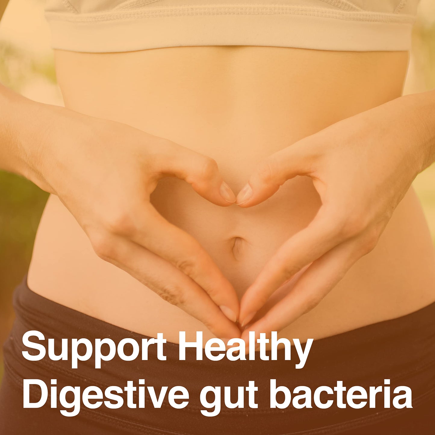 Vatellia Life Prebiotic Probiotic Digestive Support Capsule 120 Count