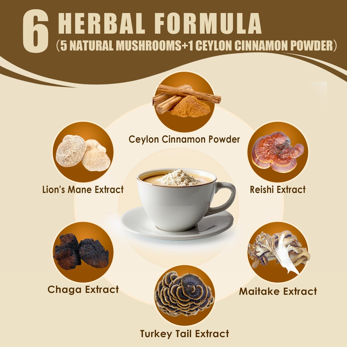 QIN SHAN TANG Mushroom Coconut Creamer Powder, Natural Creamer for Coffee with 5 Mushrooms (Lion's Mane, Turkey Tail, Reishi, Maitake, Chaga) and Ceylon Cinnamon, Boosts Focus, Immunity and Energy, 6.35 oz