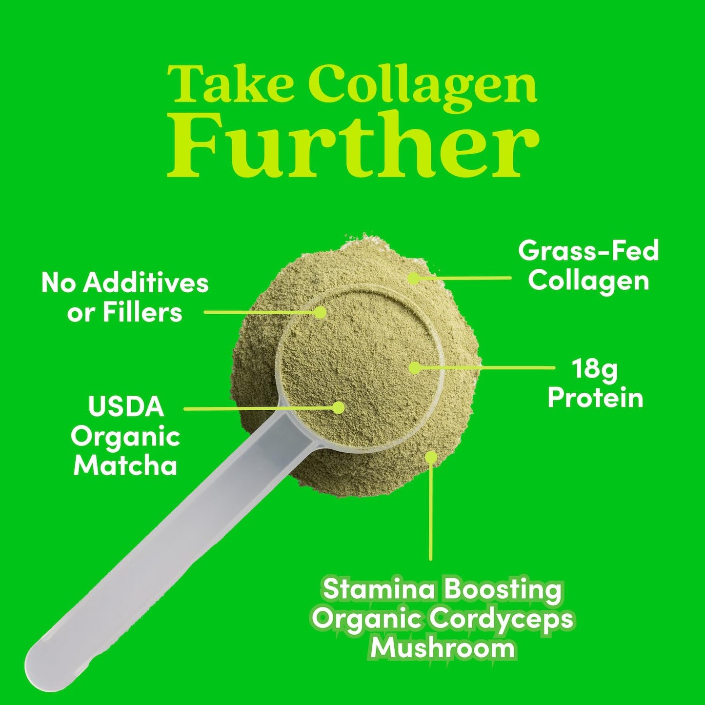 Further Food Matcha Collagen Peptides Powder, 10.62 oz