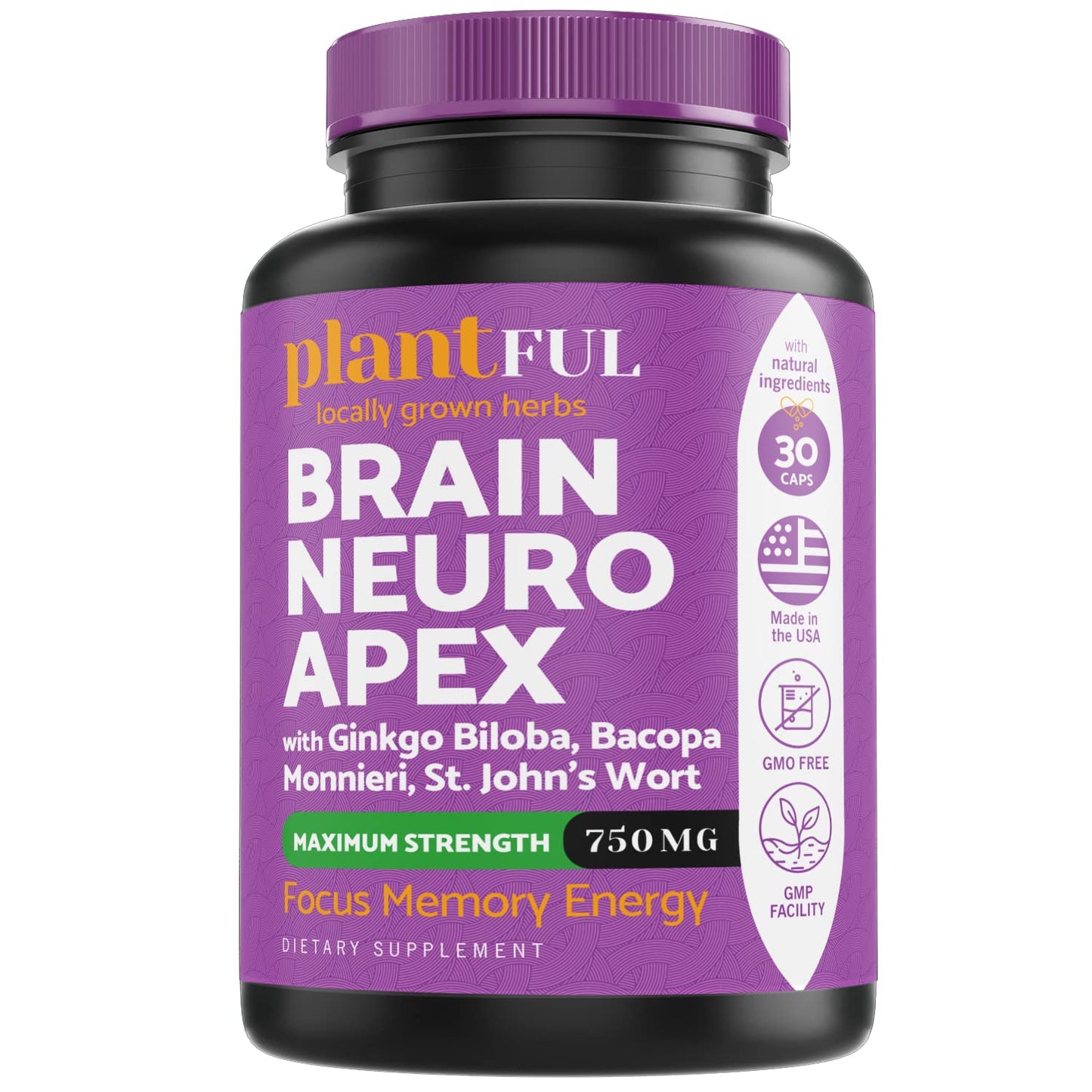 Plantful Research Nootropic Brain Supplement Powder 26.45 Ounces