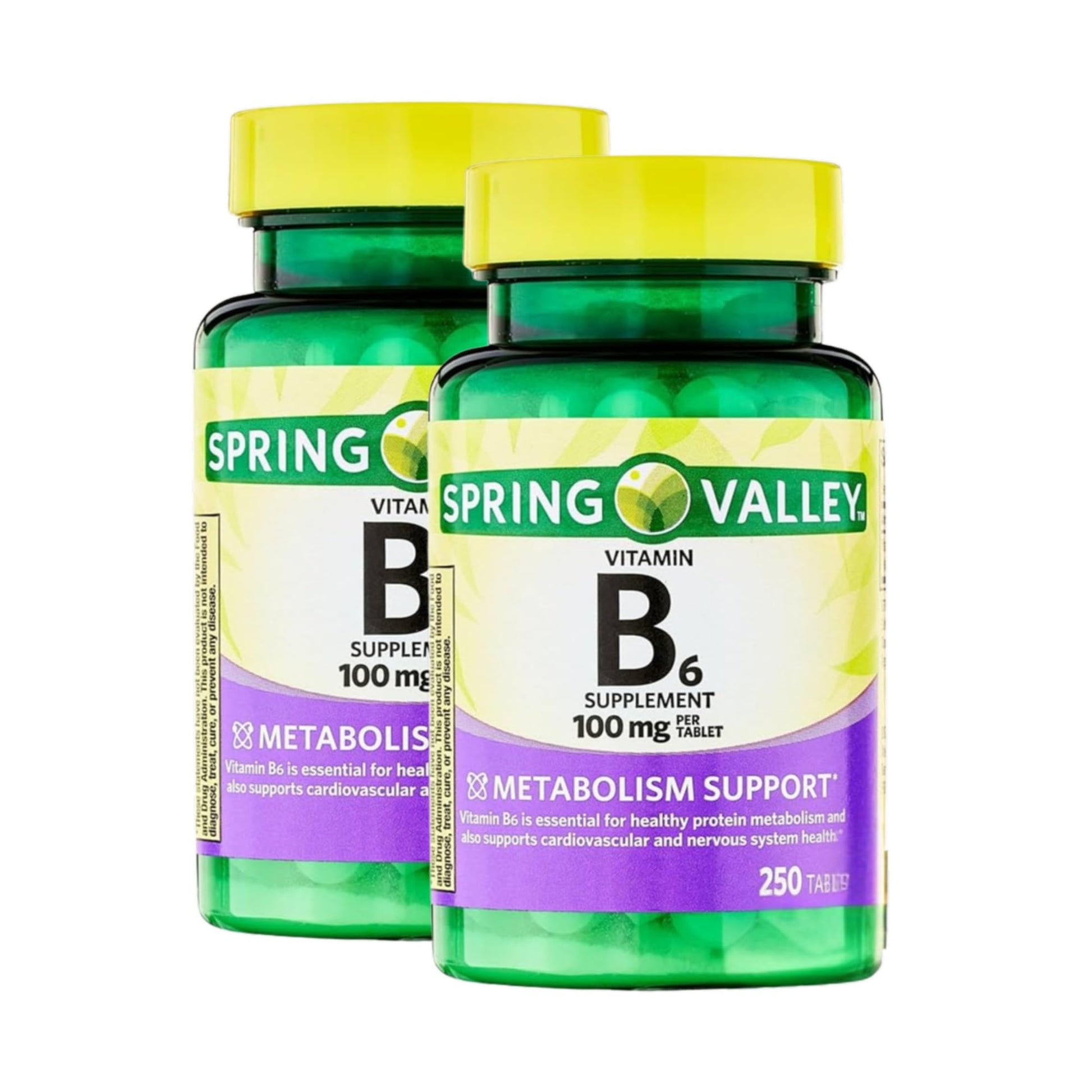 Unique Bundle Store Vitamin B6 100mg Tablets, 500-Count