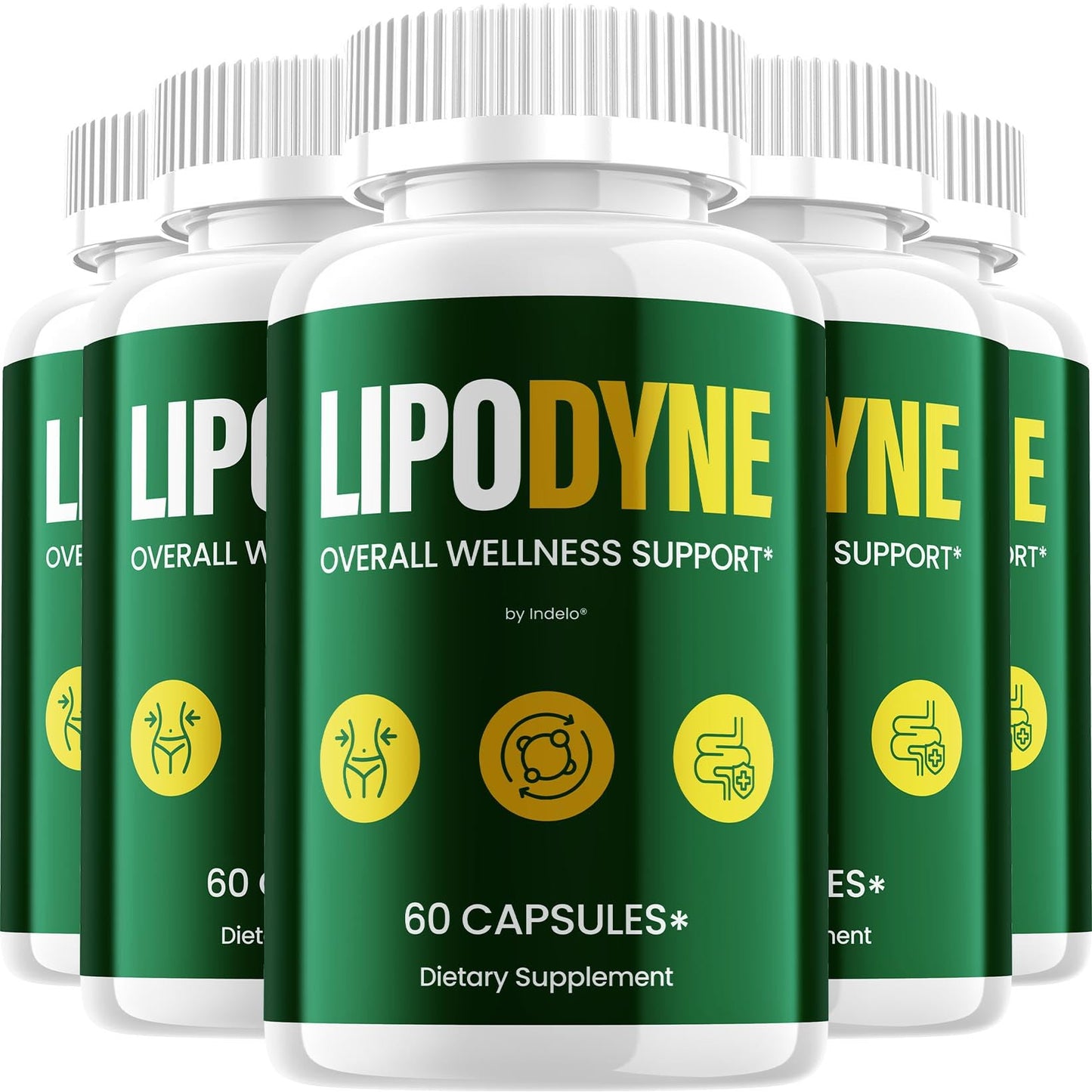 Indelo Lipodyne 300 Capsules