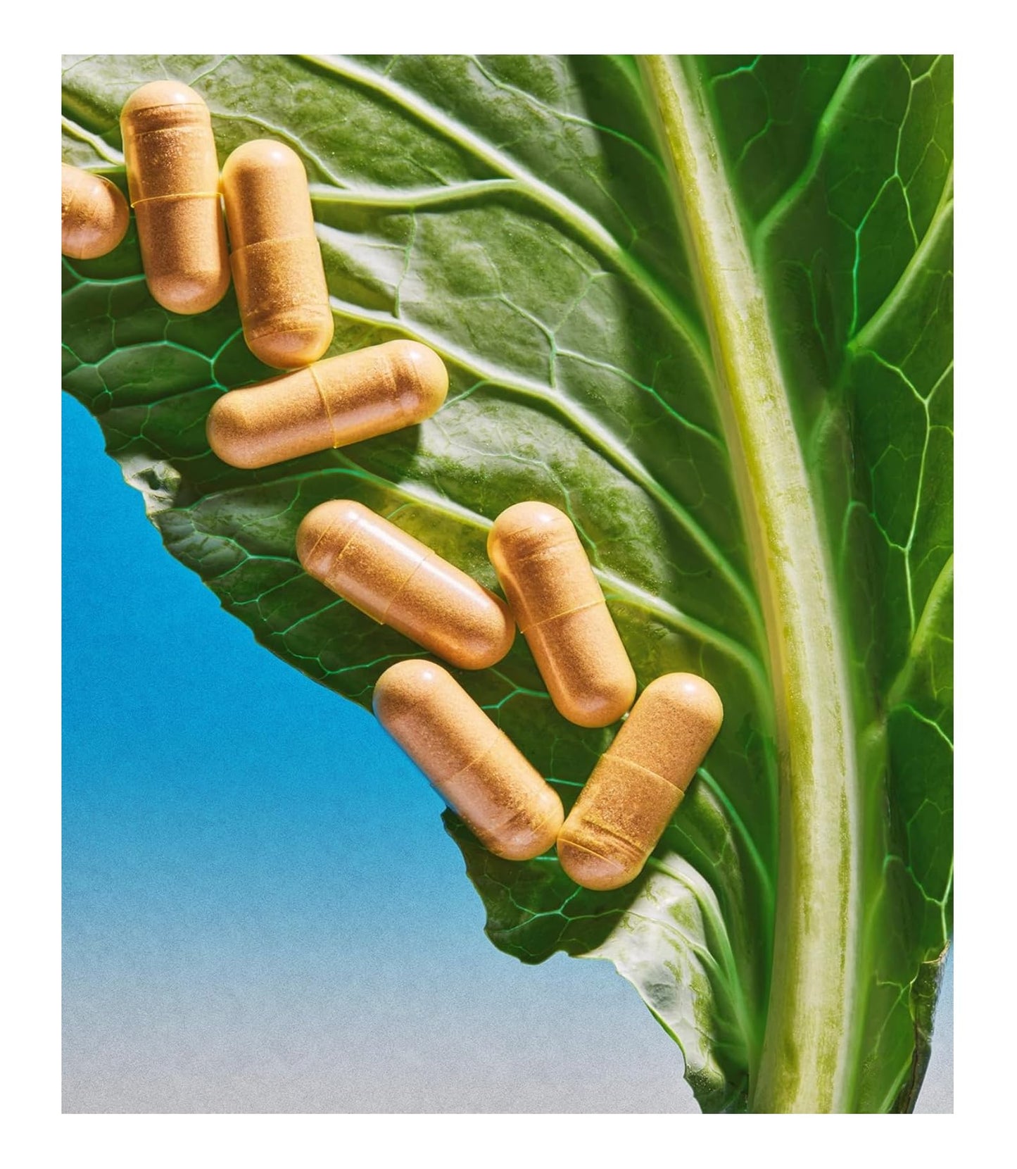 THEROOTBRANDS Root Wellness Zero-in by Dr. Rahm - Combination of Turmeric, Pine Bark Extract, 15 Capsules