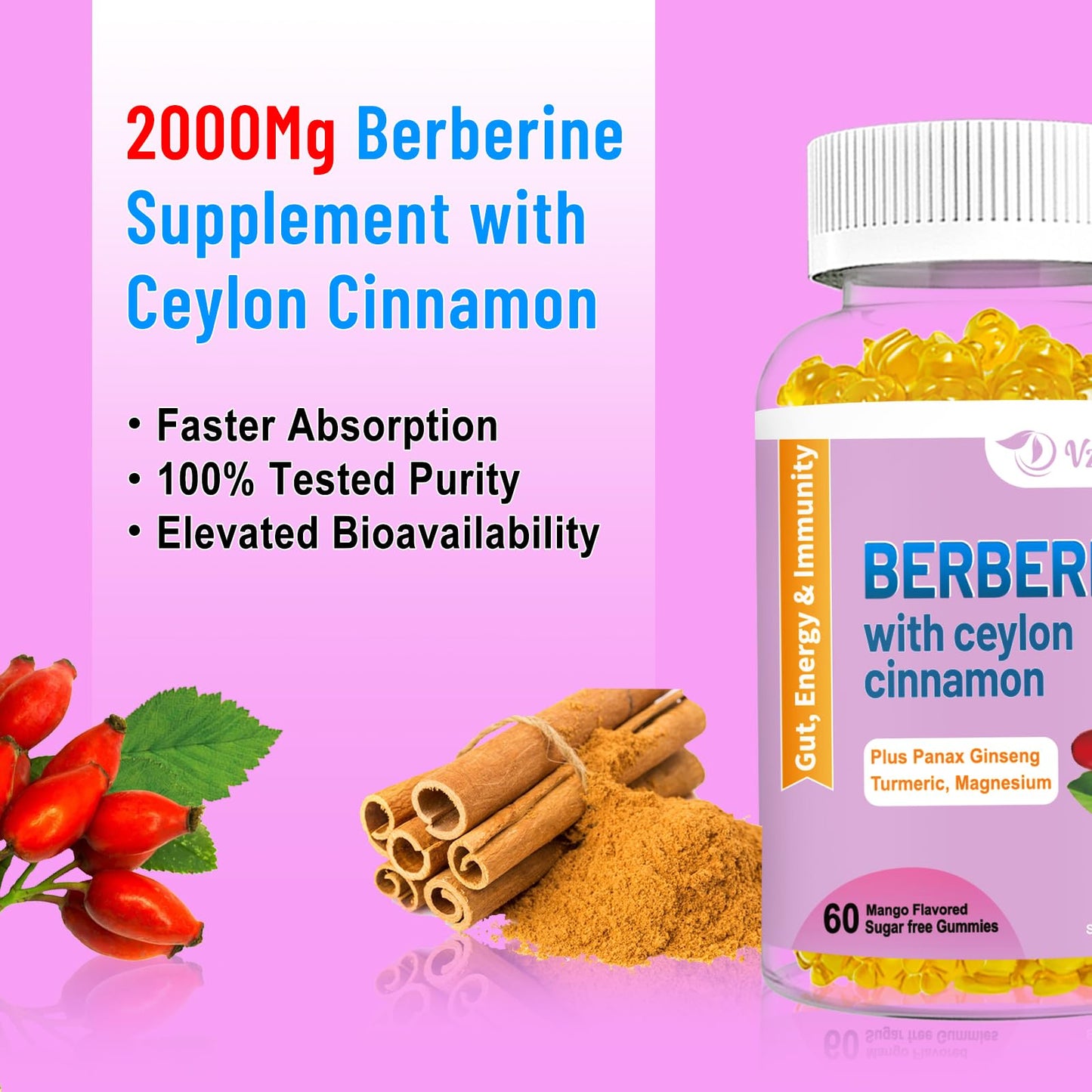 VZOXAINS Berberine with Ceylon Cinnamon Gummies, 60 Gummies