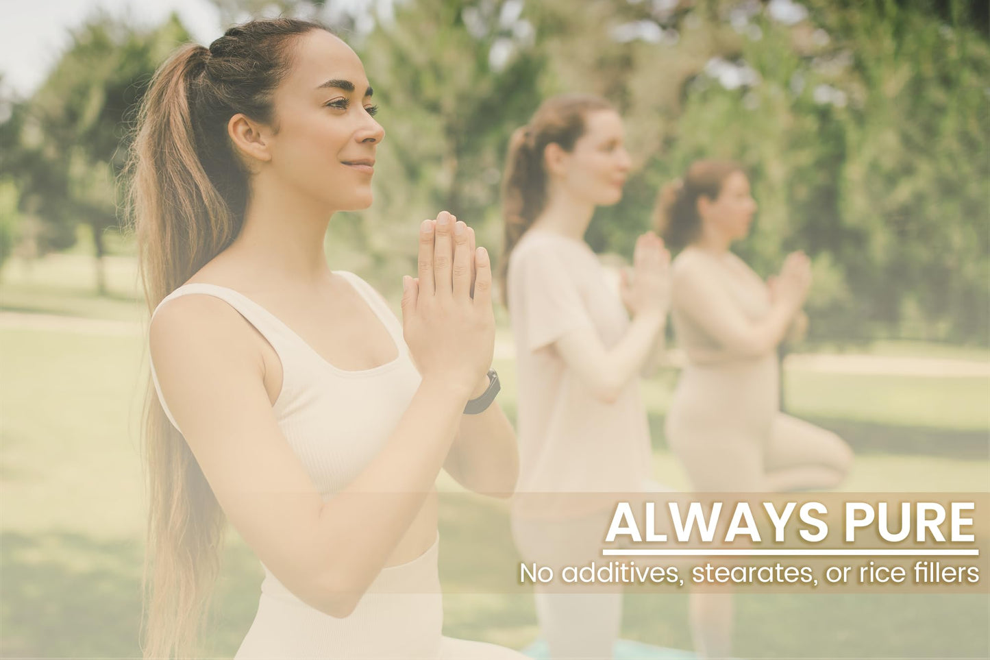 Pure Original Ingredients Soy Isoflavones Capsules 100 Count