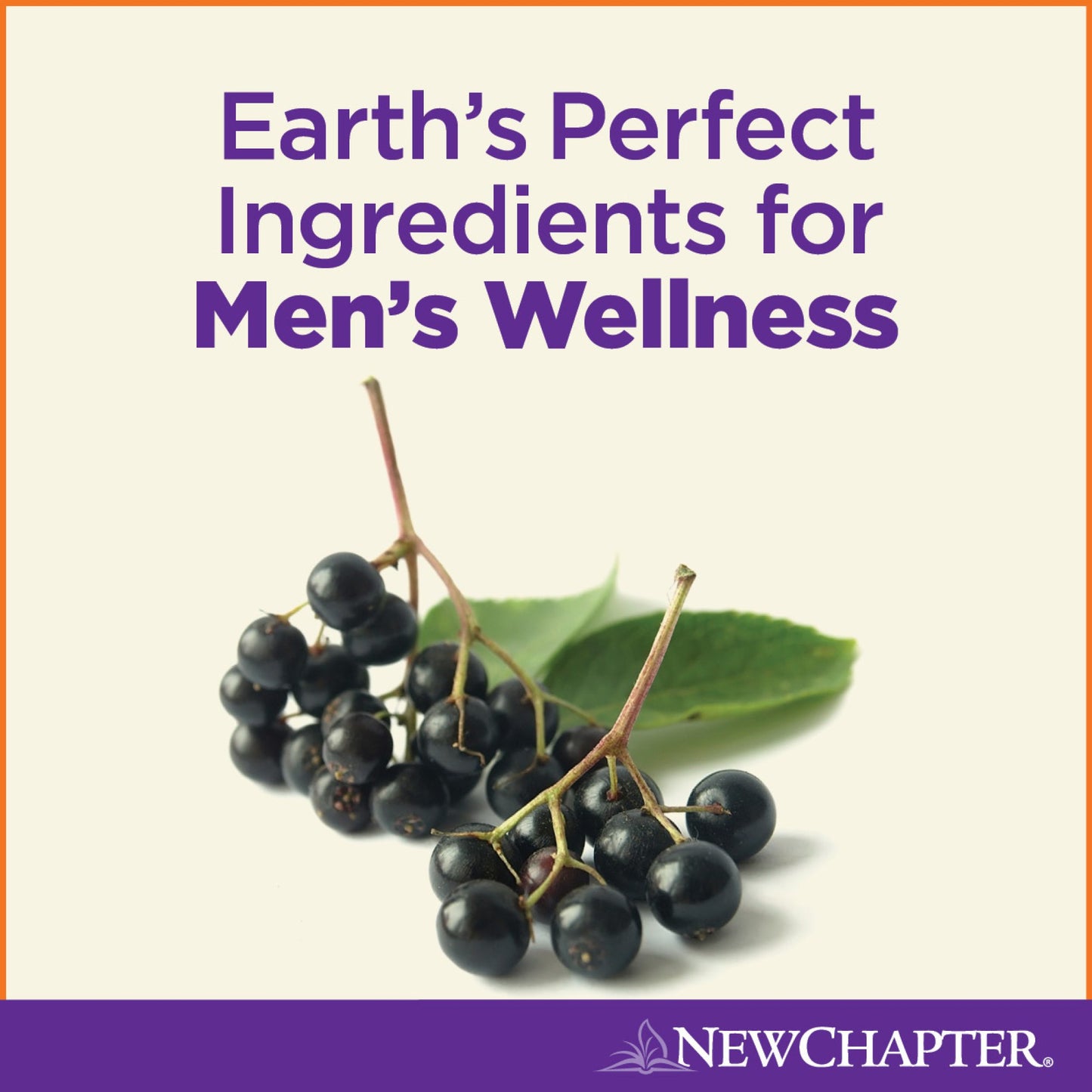 New Chapter Men’s Multivitamin + Immune, Energy & Stress Support – Every Man’s One Daily with Fermented Probiotics & Whole Foods + Vitamin D3 + Vitamin B6 & B12 + Organic Non-GMO Ingredients, Gummy 24 Count