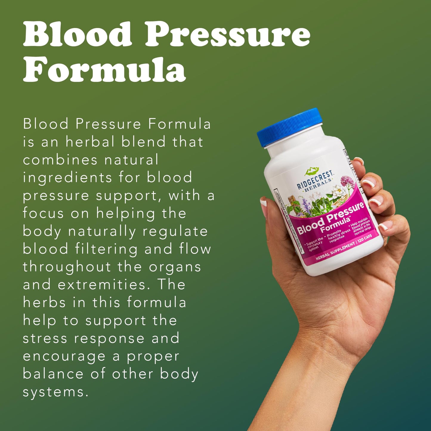 RidgeCrest Herbals Blood Pressure Herbal Formula Capsule, 120 Count