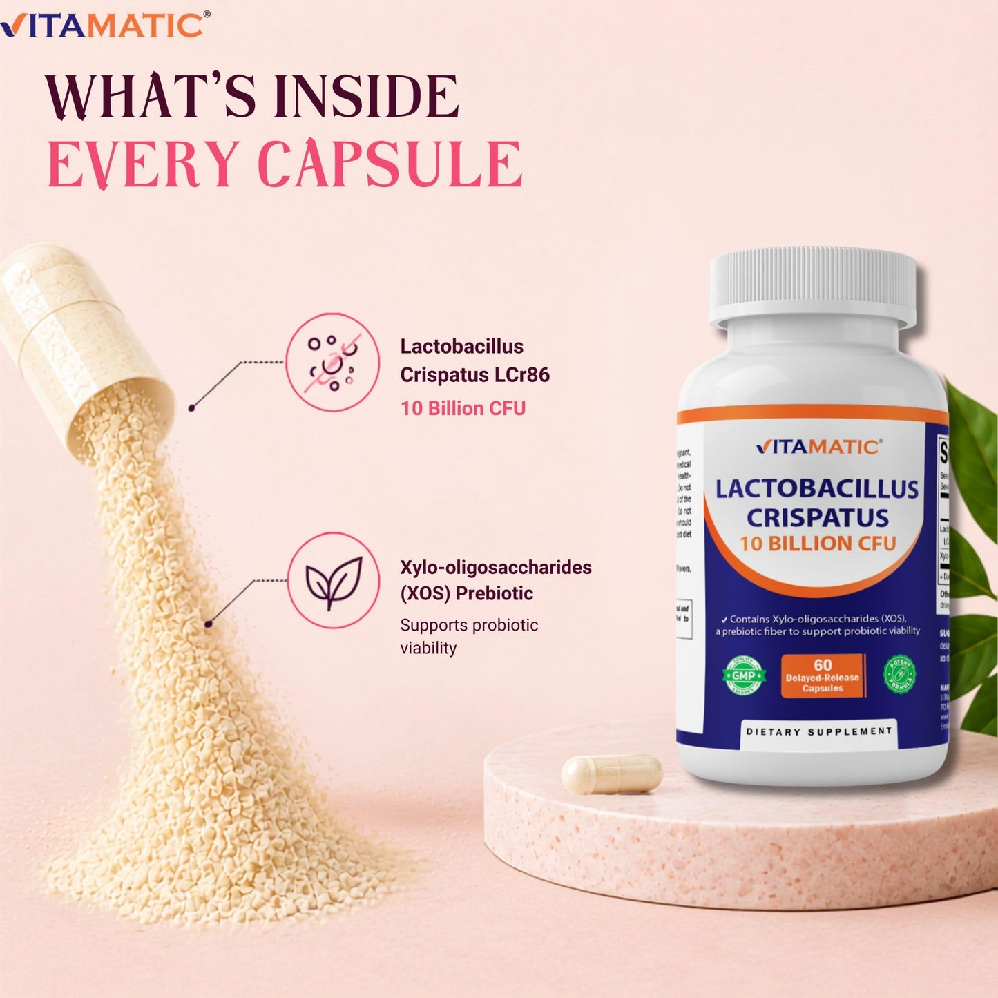 Vitamatic Lactobacillus Crispatus 10 Billion CFU with XOS Prebiotic, Delayed-Release Probiotic Capsules, 60 Capsules