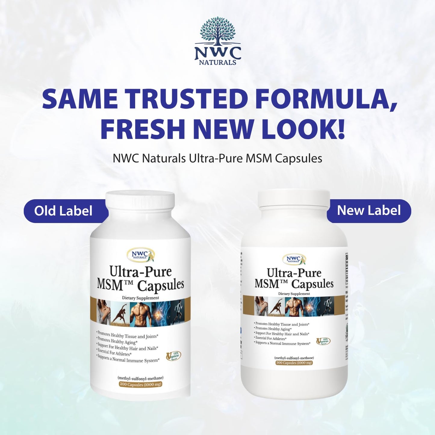 NWC Naturals Ultra-Pure MSM 1000mg, 300 Capsules