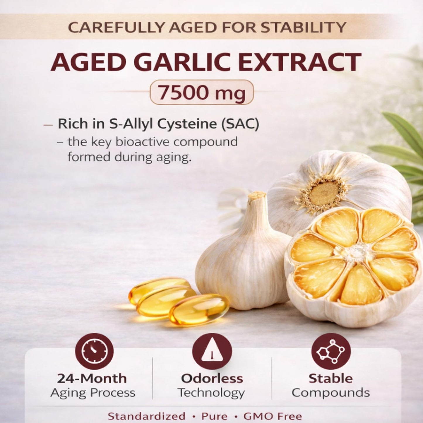 Primus Aged Garlic Odorless Garlic Supplement Capsules, 300 Count