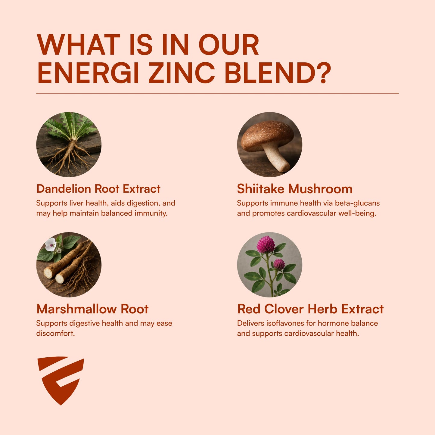 Energi Nut Zinc Chelate Blend Immune Support Supplement Capsule 1 Count