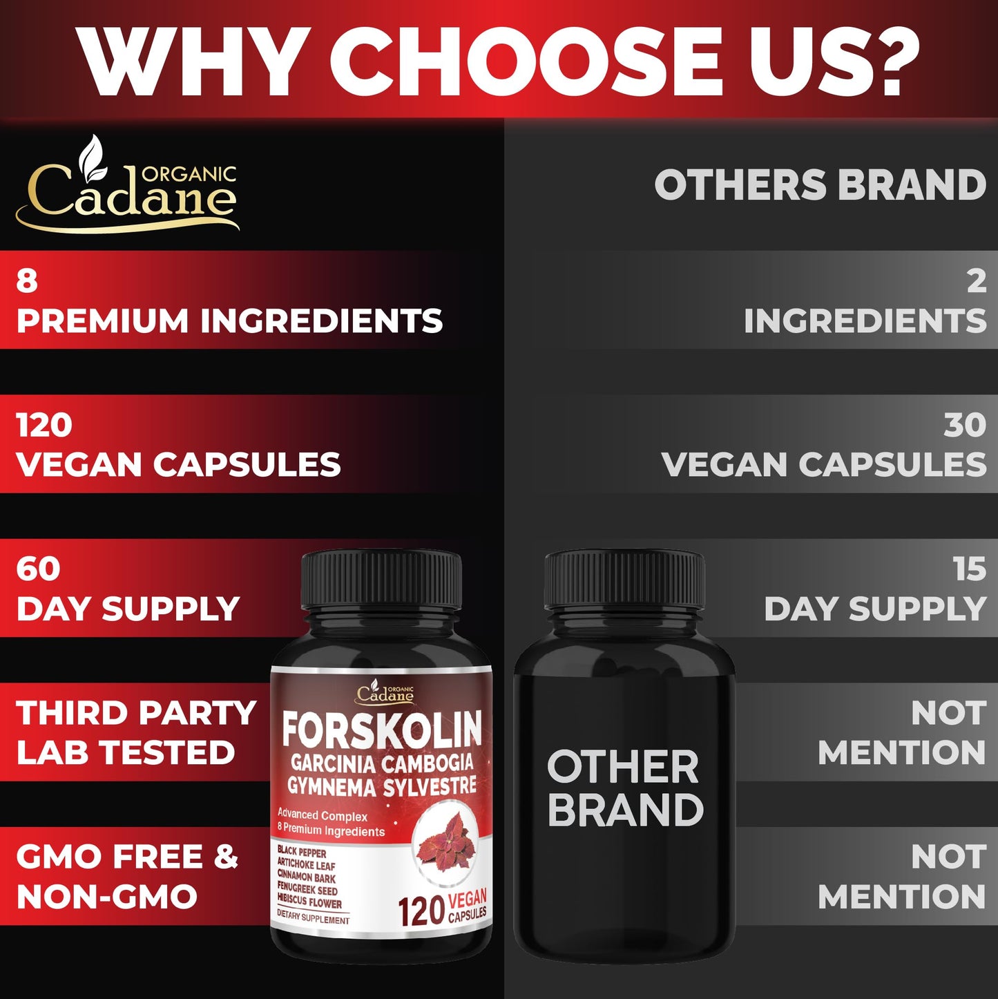 Organic Cadane Forskolin Supplement, 120 Capsules
