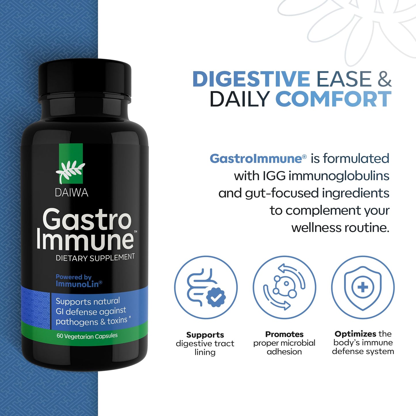 Daiwa Health Development GastroImmune - Gut Health and Immunity Supplement - Non-GMO, Protein-Based Formula for Digestive Wellness 30 Capsules
