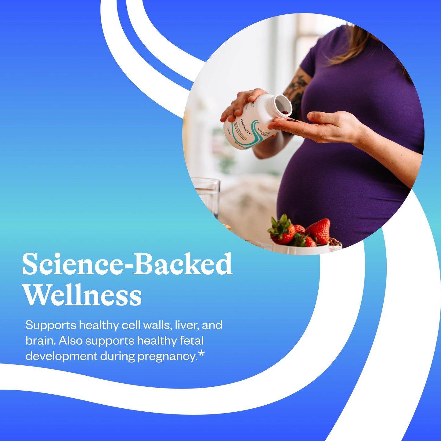 Seeking Health Optimal PC Softgels 90 Count