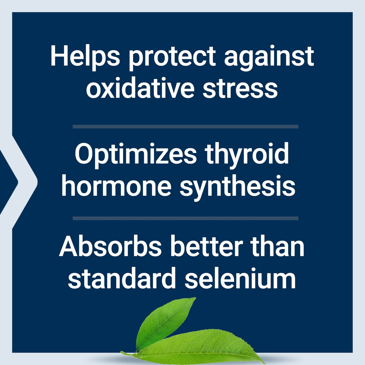 Life Extension Se-Methyl L-Selenocysteine Capsules, 90 Capsules