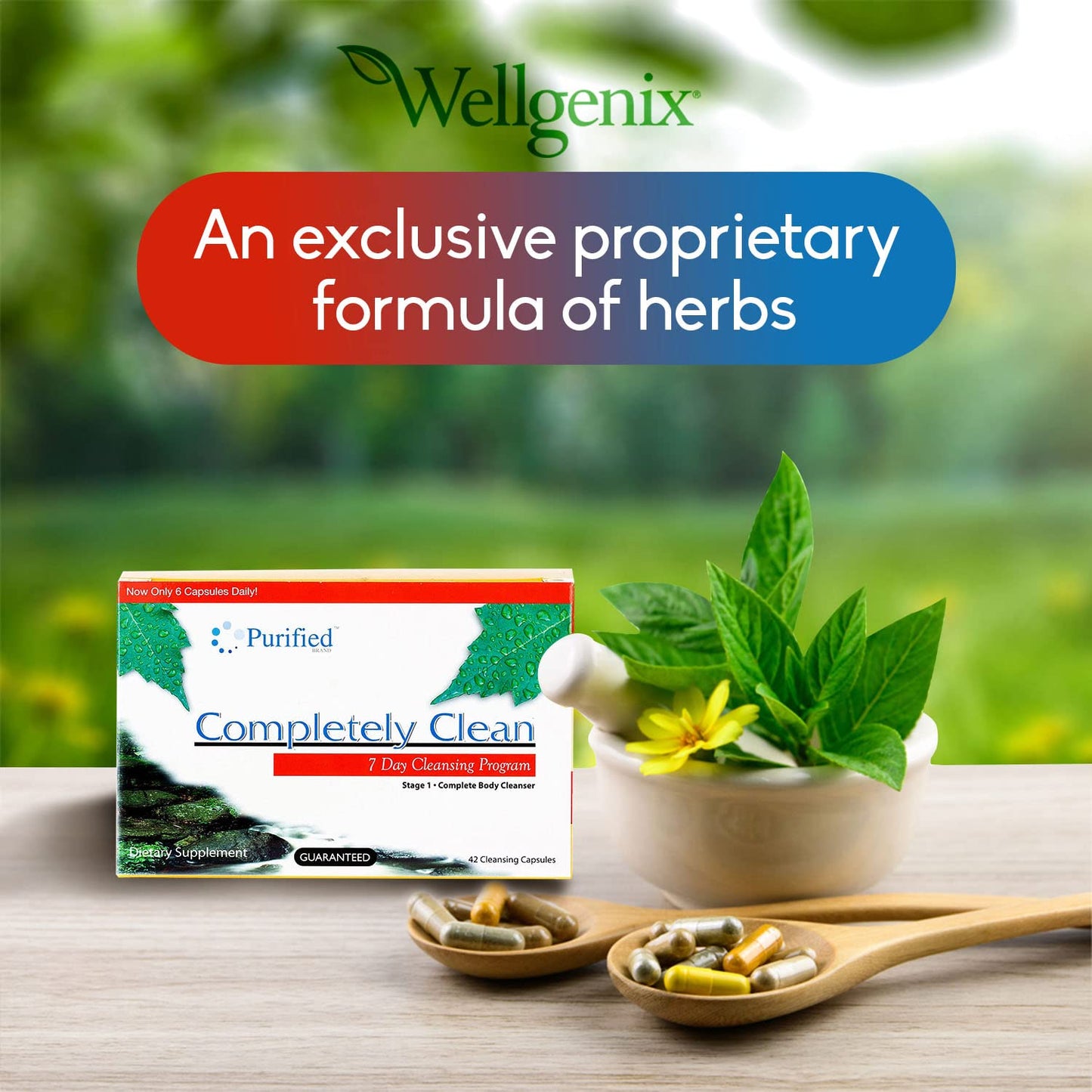 Wellgenix Omni Completely Clean 7 Day Detox, 42 Capsules