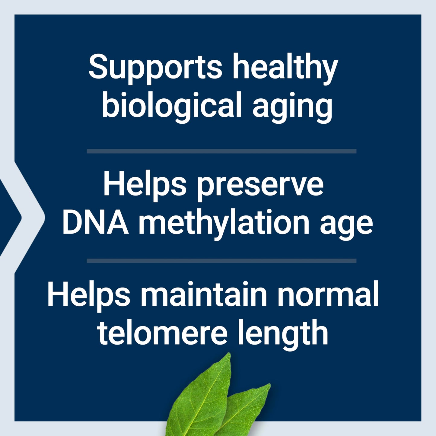 Life Extension Biological Aging Defense, 30 Capsules