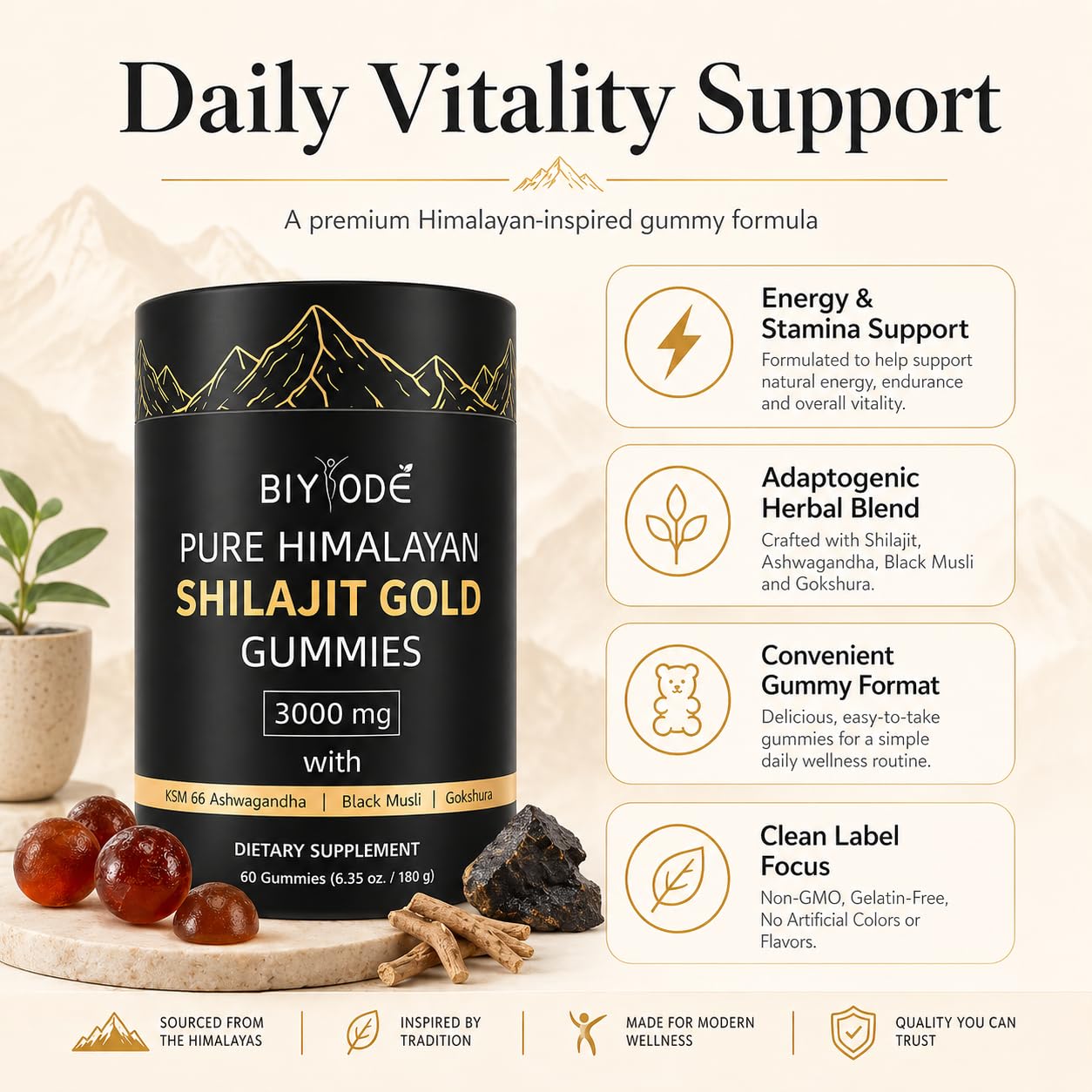 BIYODE Shilajit Gummies, 60 Gummies
