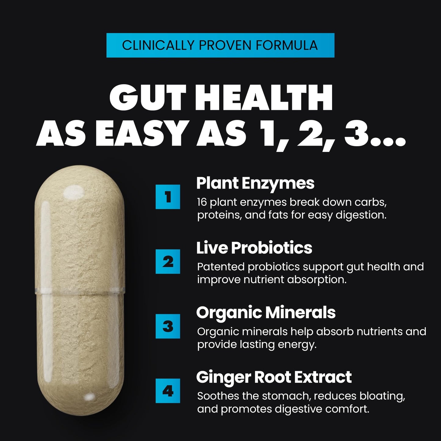 Gains in Bulk Total Digest 90 Capsules
