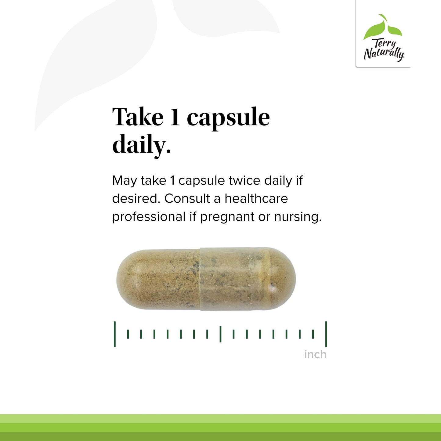 Terry Naturally Andrographis and Ashwagandha Immune System Support Capsule, 60 Count