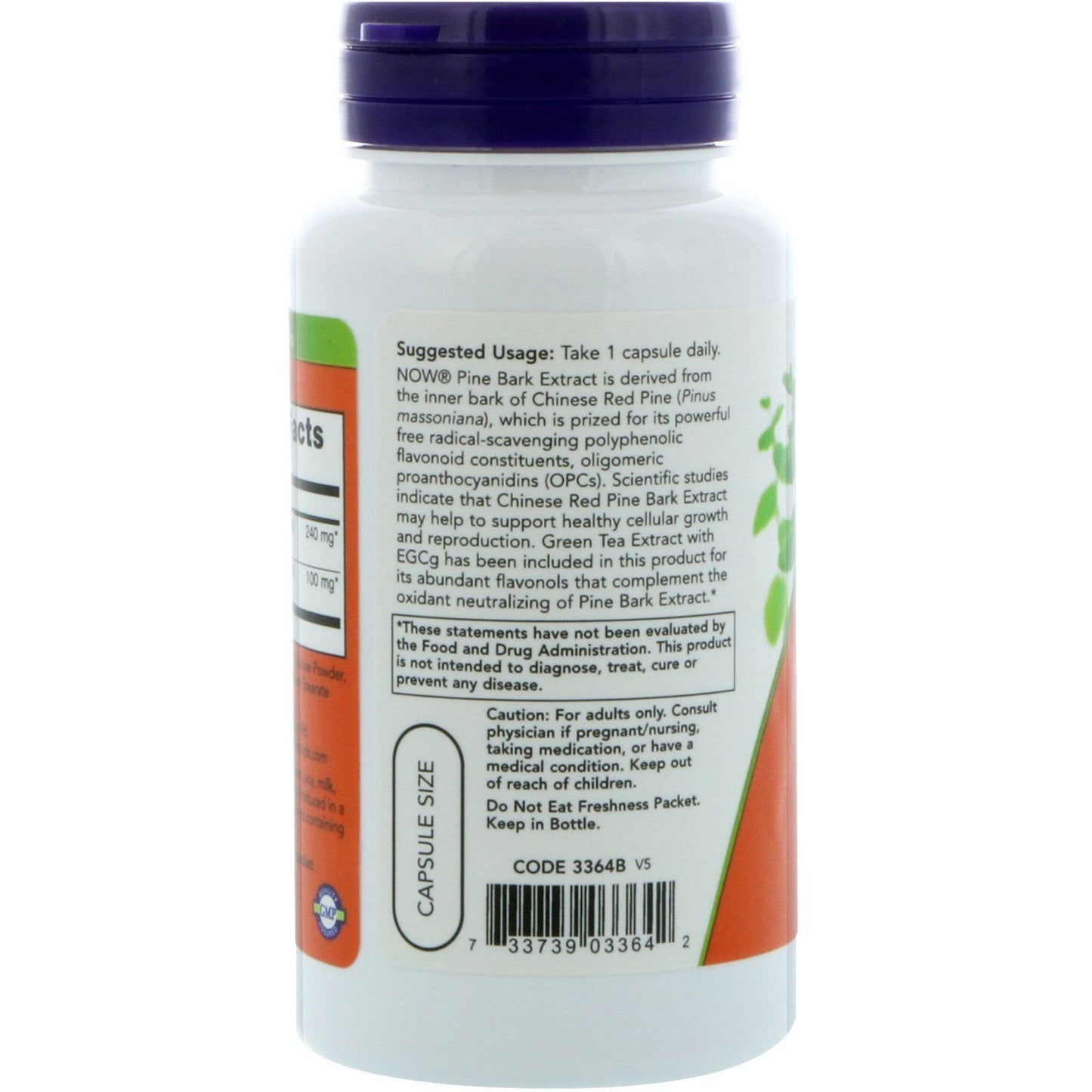 NOW Foods Pine Bark Extract 240 mg Capsule, 1 Count