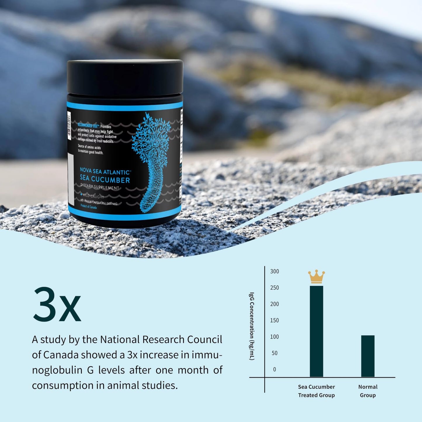Nova Sea Atlantic Sea Cucumber Supplement 360 Capsules