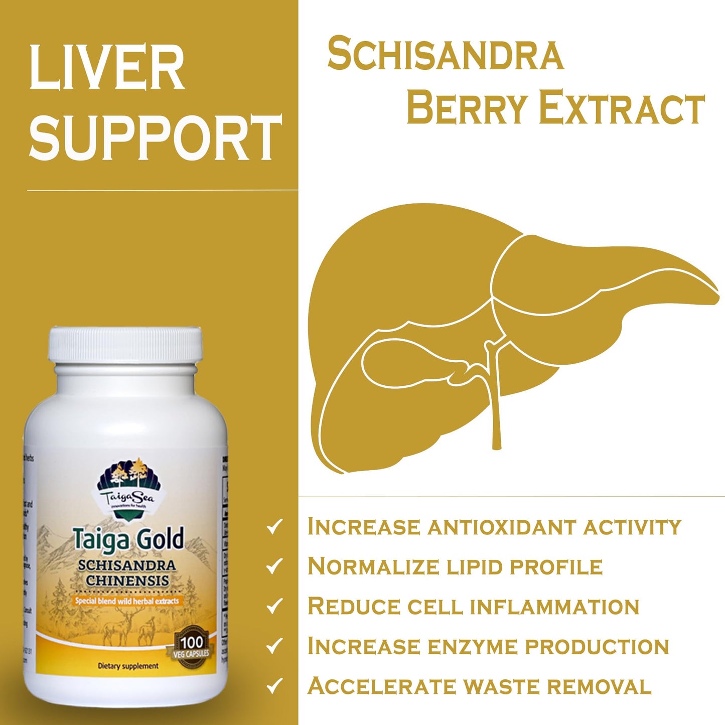 TAIGASEA Schisandra Chinese Herbal Extract Supplement for Mental Focus, Liver Support, and Immunity Boost, 100 Capsules