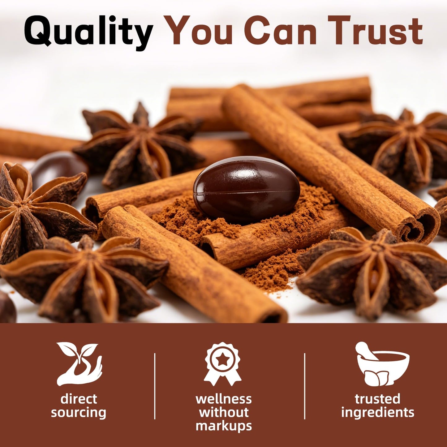 ALLBIZ Ceylon Cinnamon Softgels 360 Count